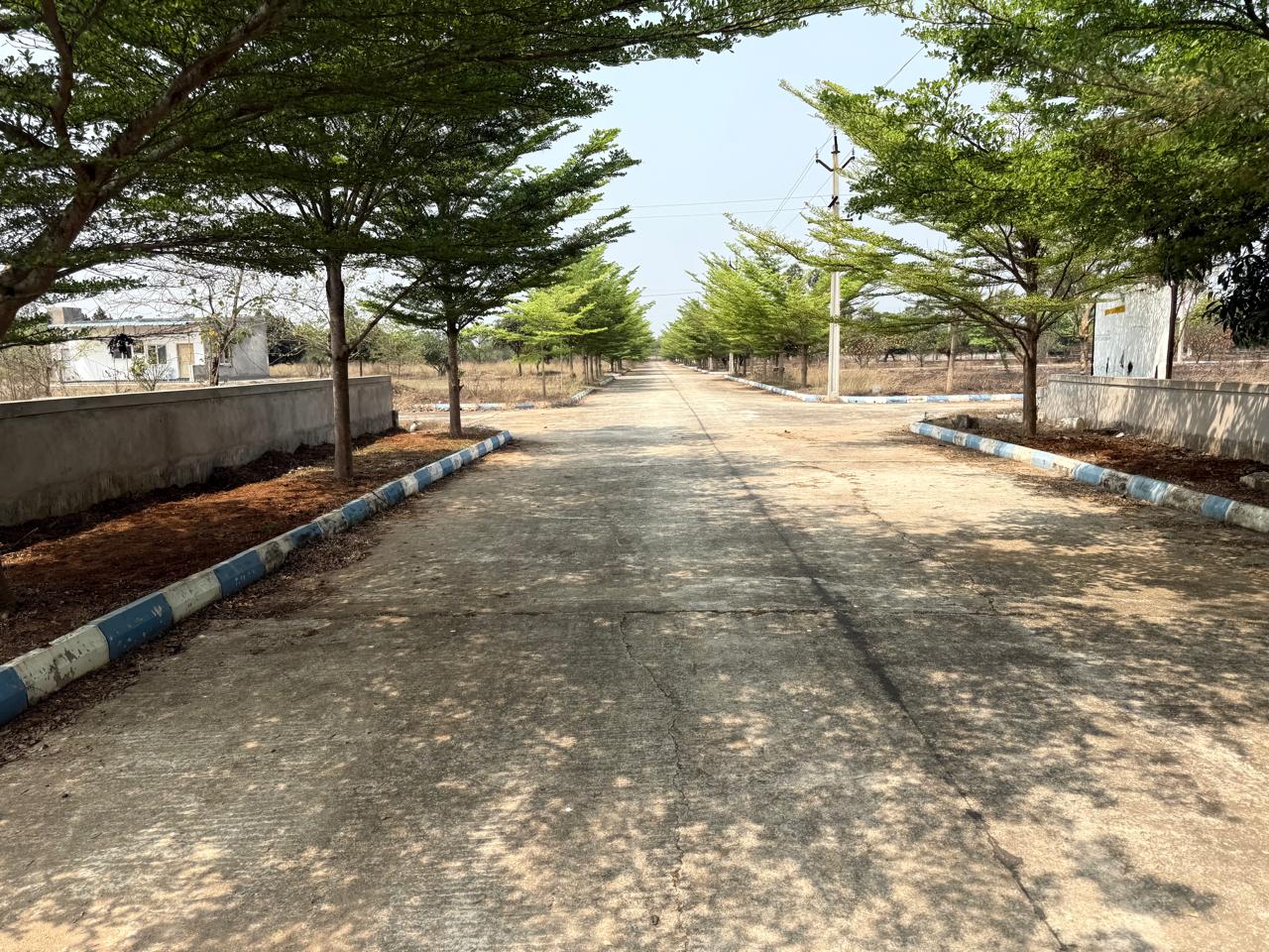 Spacious plot sizes at Shanmukha Priya